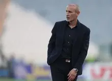 گل محمدی ماندنی شد