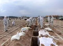 مجموع جان باختگان کرونا در کشور به ۵۹ هزار تن رسید