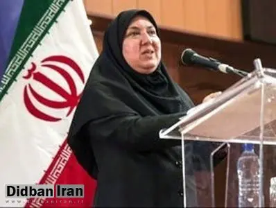 رئیس سازمان ملی بهره وری بر مدیریت بنگاههای کوچک در ارتقا بهره وری تاکید کرد