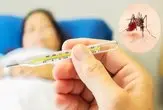 از ابتدای سال ۱۱۰۷ بیمار مبتلا به تب دنگی در کشور شناسایی شد/ صید پشه آئدس در ۱۱ استان