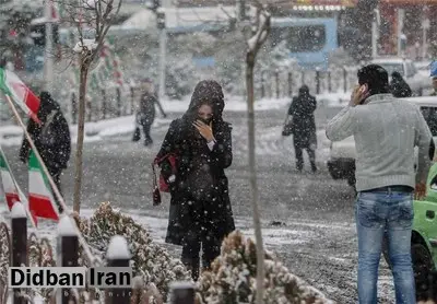 وظیفه: سرمای تهران تا شنبه ادامه دارد/ جمعه آسمانی صاف تا کمی ابری خواهیم داشت
