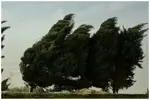 وزش باد شدید در تهران/ کاهش دما تا ۶ درجه