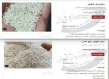 شیوه عجیب سرمایه گذاری در ایران / پیش فروش برنج از راه رسید!+عکس