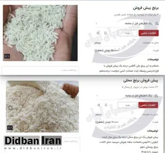 شیوه عجیب سرمایه گذاری در ایران / پیش فروش برنج از راه رسید!+عکس