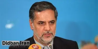 نقوی حسینی: تفاوتی ندارد که در برجام، انگلیس و فرانسه بمانند و یا خارج شوند