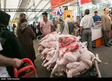 نرخ واقعی مرغ ۸۵۰۰ تومان است
