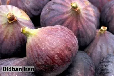 التهاب زدایی، ضد سرطان و فشار خون و بهبود سلامت جنسی، همه در یک میوه تابستانی