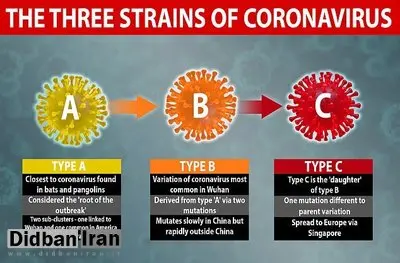 شناسایی ۳ گونه‌ مختلف ویروس کرونا توسط محققان دانشگاه کمبریج