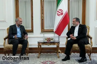 رایزنی امیر حزب «جماعت اسلامی پاکستان» با عراقچی در تهران