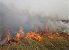 تالاب انزلی در شعله های زمین‌خواران می سوزد