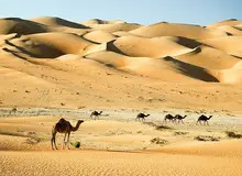 محققان دانشگاه بازل سوییس: خشکسالی زمینه ظهور و گسترش اسلام در ۱۴۰۰ سال پیش را ایجاد کرده است