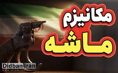 مکانیسم ماشه چیست و چطور فعال می شود؟