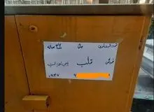 آگهی فروش قلب در تهران+عکس 