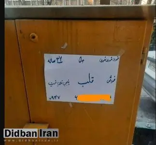 آگهی فروش قلب در تهران+عکس 