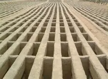 با افزایش مرگ و میر ناشی از ویروس کرونا، مافیای قبر هم پیدا شد
