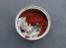 نکاتی درباره کپک آبغوره، رب گوچه فرنگ وترشی/ کدام کپک ها خطرناک هستند؟