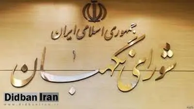 شورای نگهبان دو لایحه جنجالی پالرمو و مبارزه با تروریسم را به مجلس بازگرداند / کدخدایی :شورای نگهبان ایرادهای نسبت به متن این  دو لایحه مطرح کرده است 