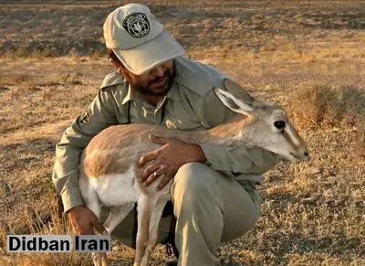 حکم اعدام برومند نجفی محیط بان کرمانشاهی متوقف شد