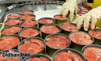 به دنبال افزایش قیمت رخ داد؛ کاهش ۲۵ درصدی مصرف کنسرو توسط خانوارهای ایرانی