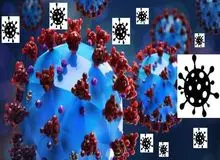 ۹ نفر در کردستان به قارچ سیاه مبتلا شدند