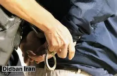 دستگیری ۲ متهم به جاسوسی در حوالی ابوموسی