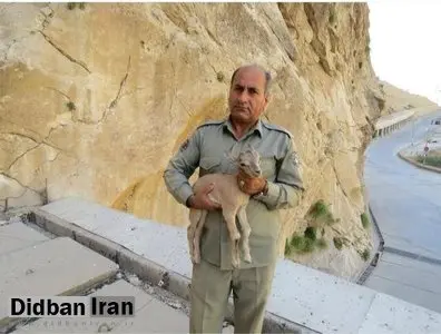 دومین قاتل شهید دیدهبان دستگیر شد