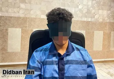 قاتل امیرمحمد خالقی در ملاعام اعدام نمیشود