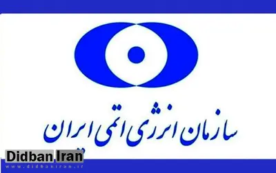 توضیحات سازمان انرژی اتمی درباره یک حمله سایبری