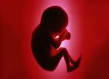 مراجعه بیش ازیک هزارتن برای دریافت مجوز سقط جنین