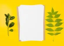 آشنایی با اندازه‌های تراکت تبلیغاتی استاندارد