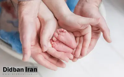 جزئیات خدمات جدید درمانی برای باروری زوجین