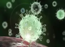 ویروس کرونا در دمای ۲۰ درجه تا دو سال زنده می‌ماند