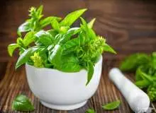 با خواص معجزه آسای درمانی ریحان آشنا شوید