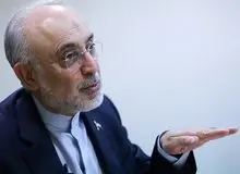 رضا نصری: علی‌اکبر صالحی شایسته‌ترین گزینه نه برای مدیریت یک سفارتخانه، بلکه برای عهده‌دار شدن سمت پیشنهادی «نماینده ویژه ایران در جهان عرب» است