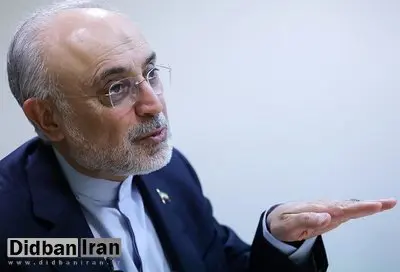 رضا نصری: علی‌اکبر صالحی شایسته‌ترین گزینه نه برای مدیریت یک سفارتخانه، بلکه برای عهده‌دار شدن سمت پیشنهادی «نماینده ویژه ایران در جهان عرب» است