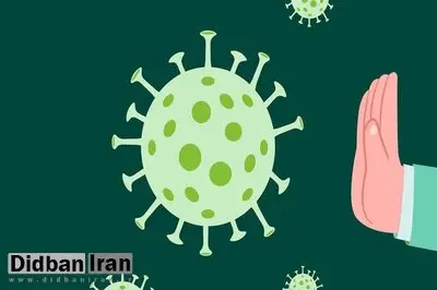 ویروسها چگونه وارد بدن میشوند؟