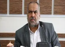 صباغیان: ارز ۴۲۰۰ تومانی هیچ تاثیری در کاهش کالاهای اساسی نداشت