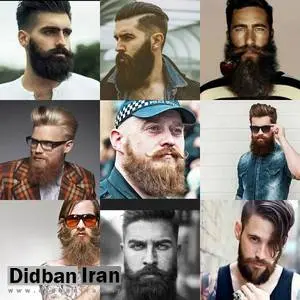 درباره ریش و ریشهراسی