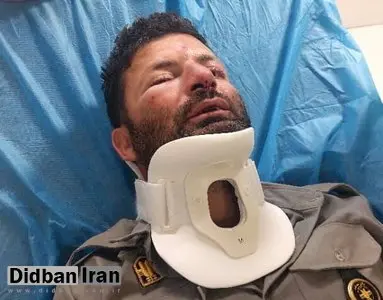 دومین حمله به حافظان طبیعت در شمیرانات/ این بار ضرب و شتم یک محیطبان