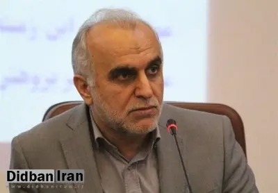 "دژپسند" مهمترین اولویتهای اقتصادیاش را تشریح کرد