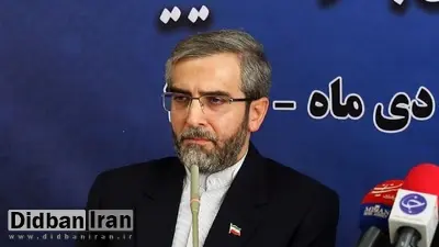 دبیر ستاد حقوق بشر قوه قضاییه:گاهی اوقات زندانیان خارجی ما حاضر نیستند از زندان ایران به زندان کشور خود بروند