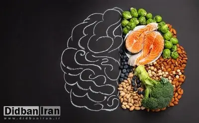 اجازه ندهید مغزتان کوچک شود!/ ۵ ماده غذایی مفید برای حفظ سلامت و حجم مغز
