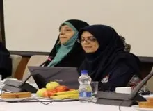 یک مقام معاونت امور زنان ریاست جمهوری: سند توسعه زنان و خانواده استان ها تدوین می شود/ موضوع زنان و خانواده، زنانه نیست