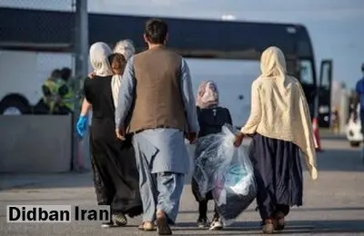 اتباع به کشور برمیگردند؟ /شروط جدید نماینده مجلس برای درخواست ویزا و تردد قانونی اتباع به ایران