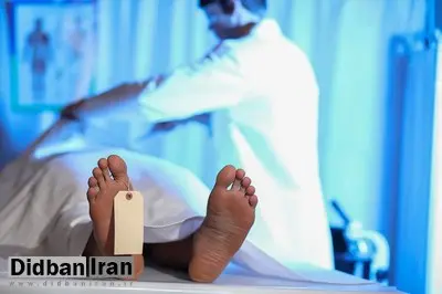 استارتاپ آمریکایی بقایای اجساد را به چیزی تبدیل می‌کند که اصلاً فکرش را نمی‌کنید