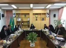 استاندارد سازی مشاغل خانگی برای رونق و سودآوری این مشاغل/ معصومه ابتکار: باید حق و شان زن ایرانی را چه در عرصه ملی و چه در سطح بین المللی حفظ کنیم