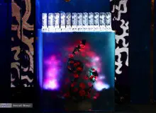 تغییرات تازه در فراخوان جشنواره فیلم فجر از حذف یک بخش فرهنگی تا اخذ  تعهدنامه از  هنرمندان!