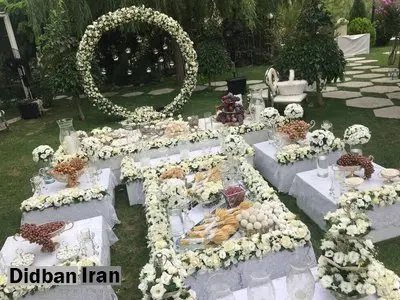 تشریفات عجیب و غریب برای برگزاری عروسی‌های «لاکچری»/ از بیکن آهو،‌ میزخاویار،درشکه طلا و ... 