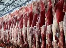 رئیس اتحادیه تهیه و توزیع گوشت گوسفندی: افزایش قیمت گوشت گوساله به ۲۵۰ هزار تومان/ مردم کمتر  گوشت گوساله می خرند