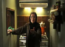 رویا افشار بهترین بازیگر جشنواره فرانسوی شد